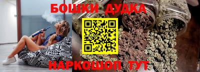 МДПВ Будённовск