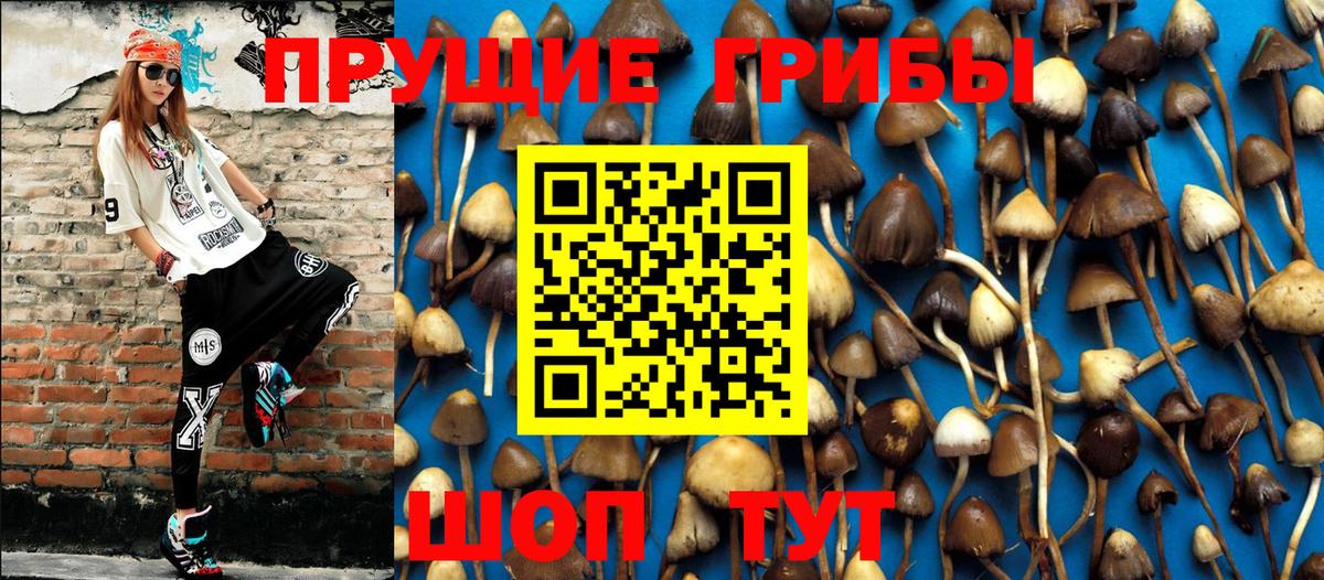 Галлюциногенные грибы GOLDEN TEACHER Лениногорск