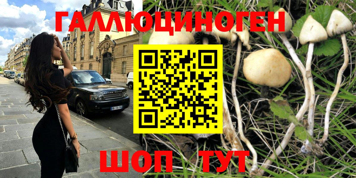 Псилоцибиновые грибы Psilocybine cubensis  Вход с VPN  Лениногорск 